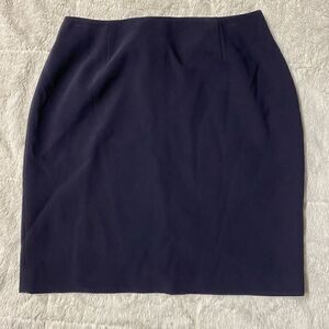 Ann Taylor Petites Navy Skirt